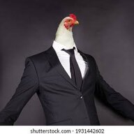 Mister_Chicken